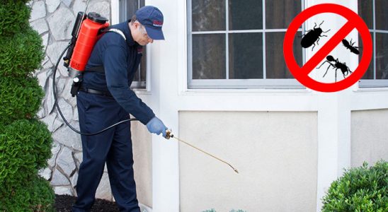 Sarıyer Dezenfeksiyon böcek ilaçlama ve haşere kontrolü — ilaclama-tr.com